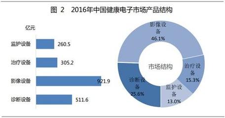 廣東太陽神集團(tuán)朱厚丞 中國電子健康產(chǎn)業(yè)競(jìng)爭(zhēng)分析與技術(shù)服務(wù)展望